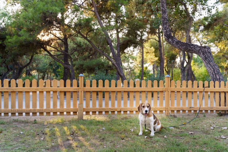 Pet Fence Installation