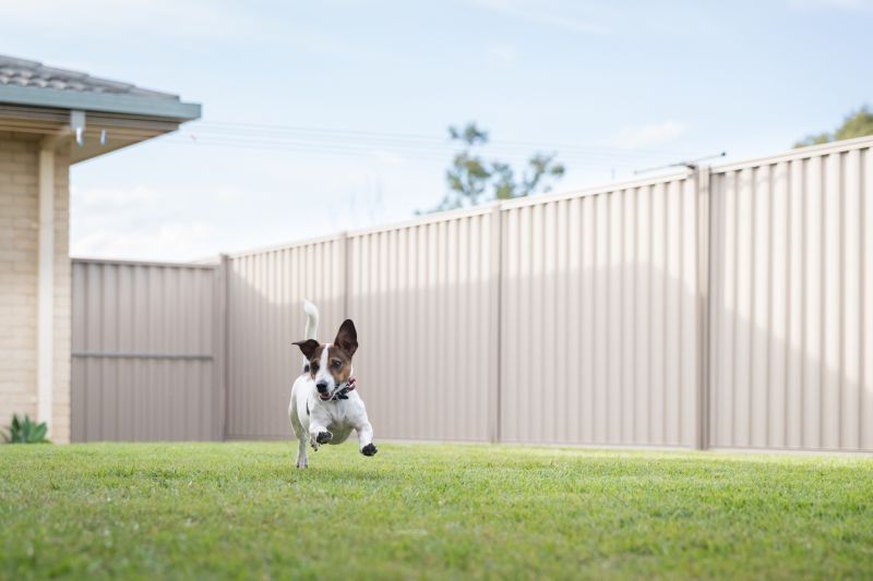Fall Fence Construction