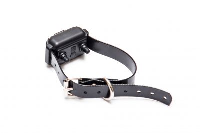 Ground Preparation for Fence