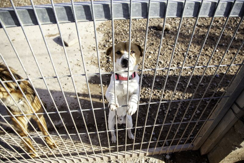 Warranty & Quality Checks