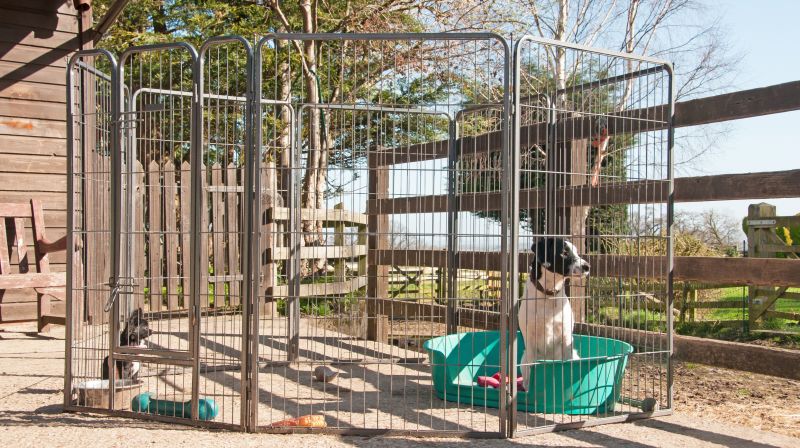 Pet Fence Installation